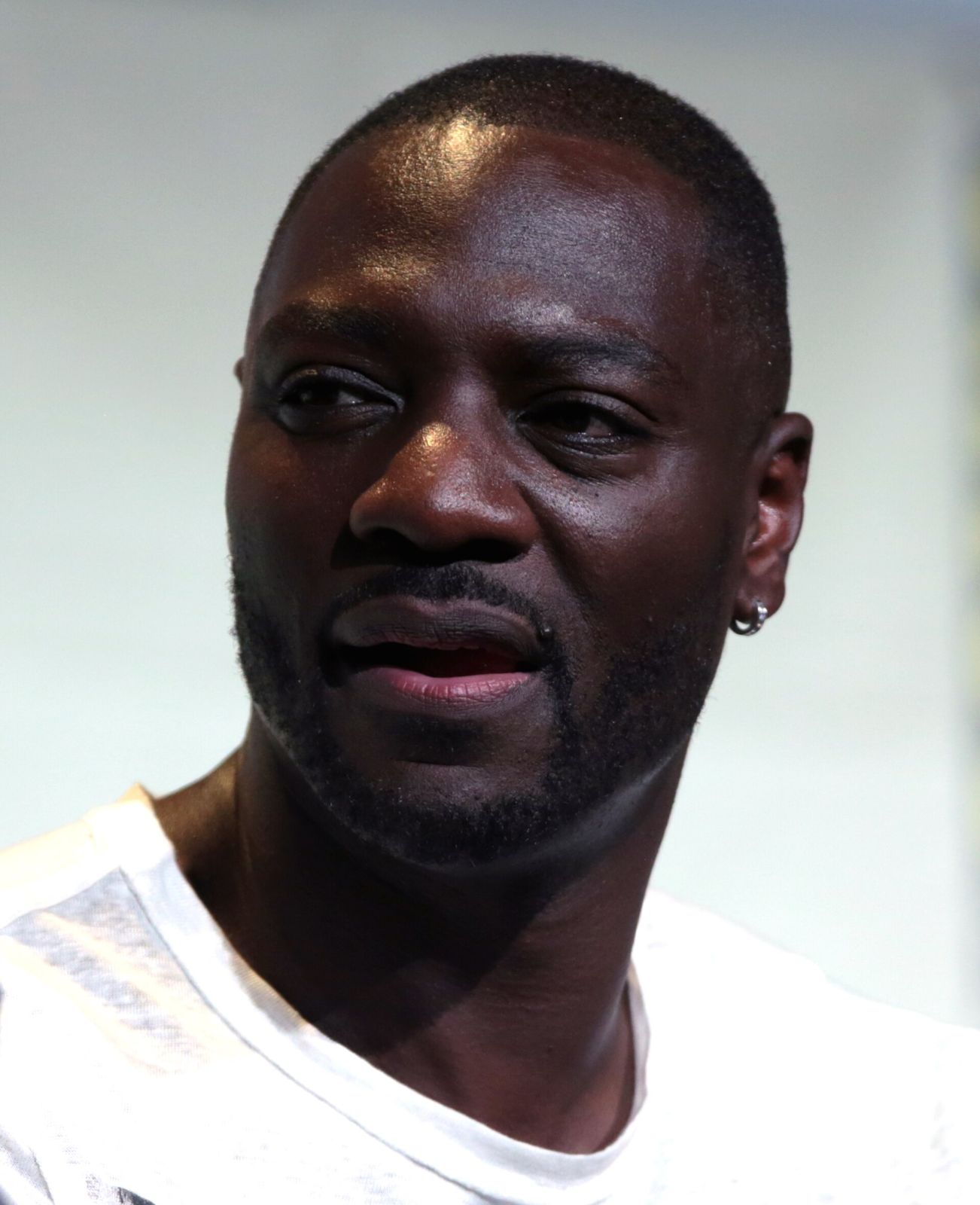 Adewale Akinnuoye-Agbaje