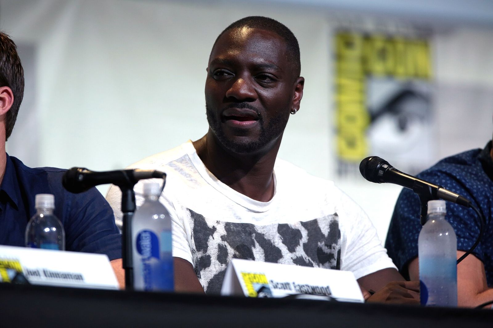 Adewale Akinnuoye-Agbaje