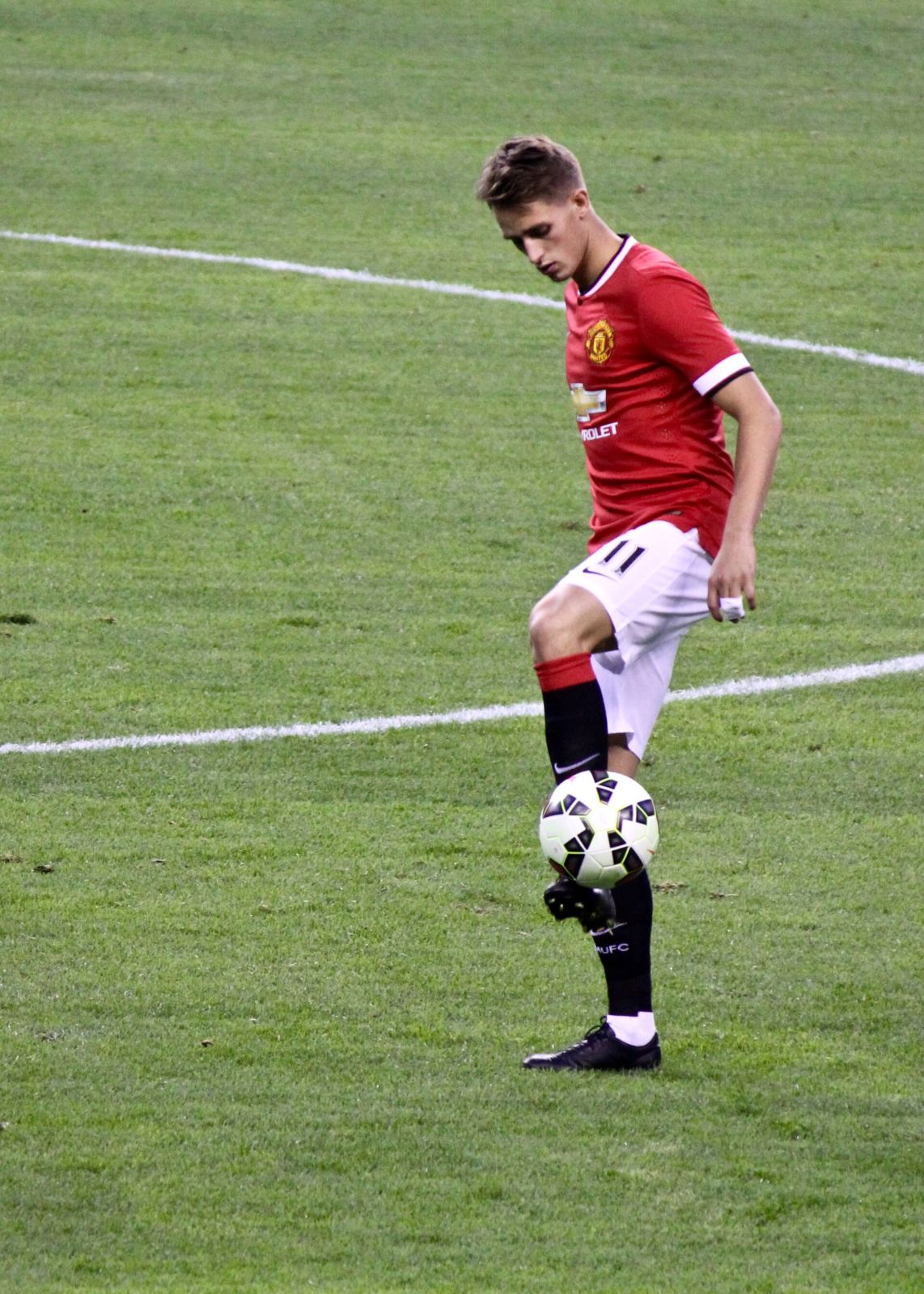 Adnan Januzaj
