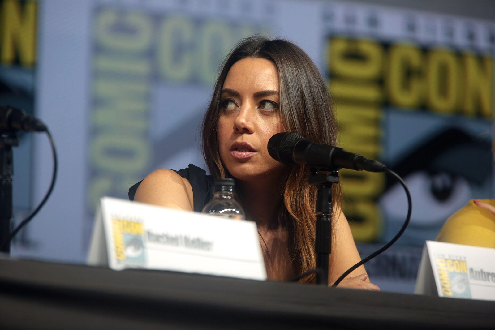 Aubrey Plaza