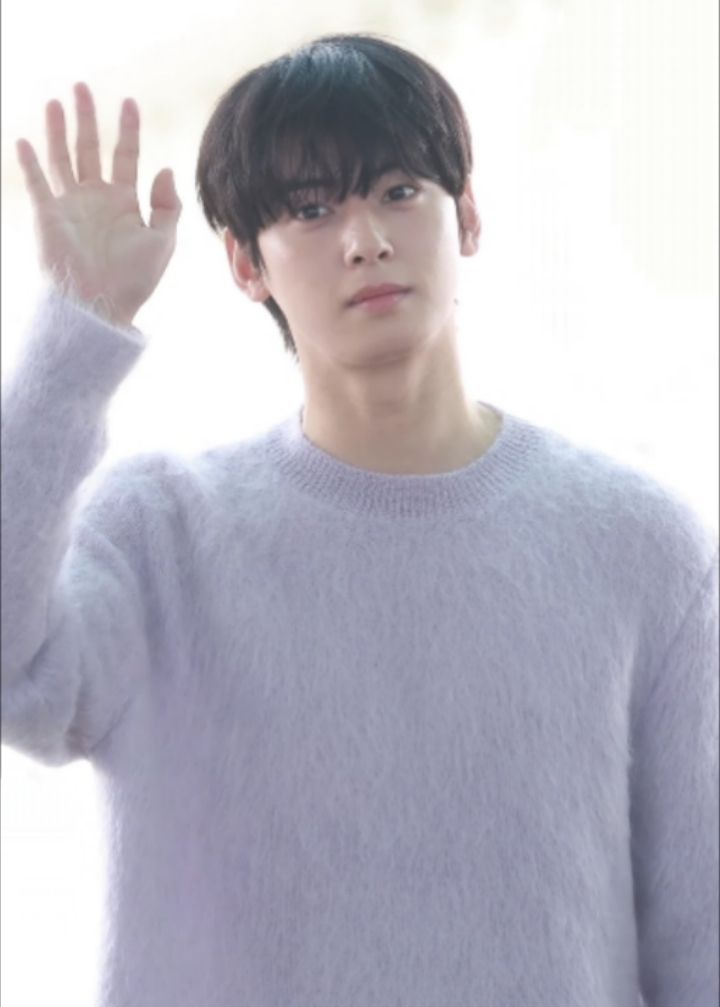 Cha Eun-woo