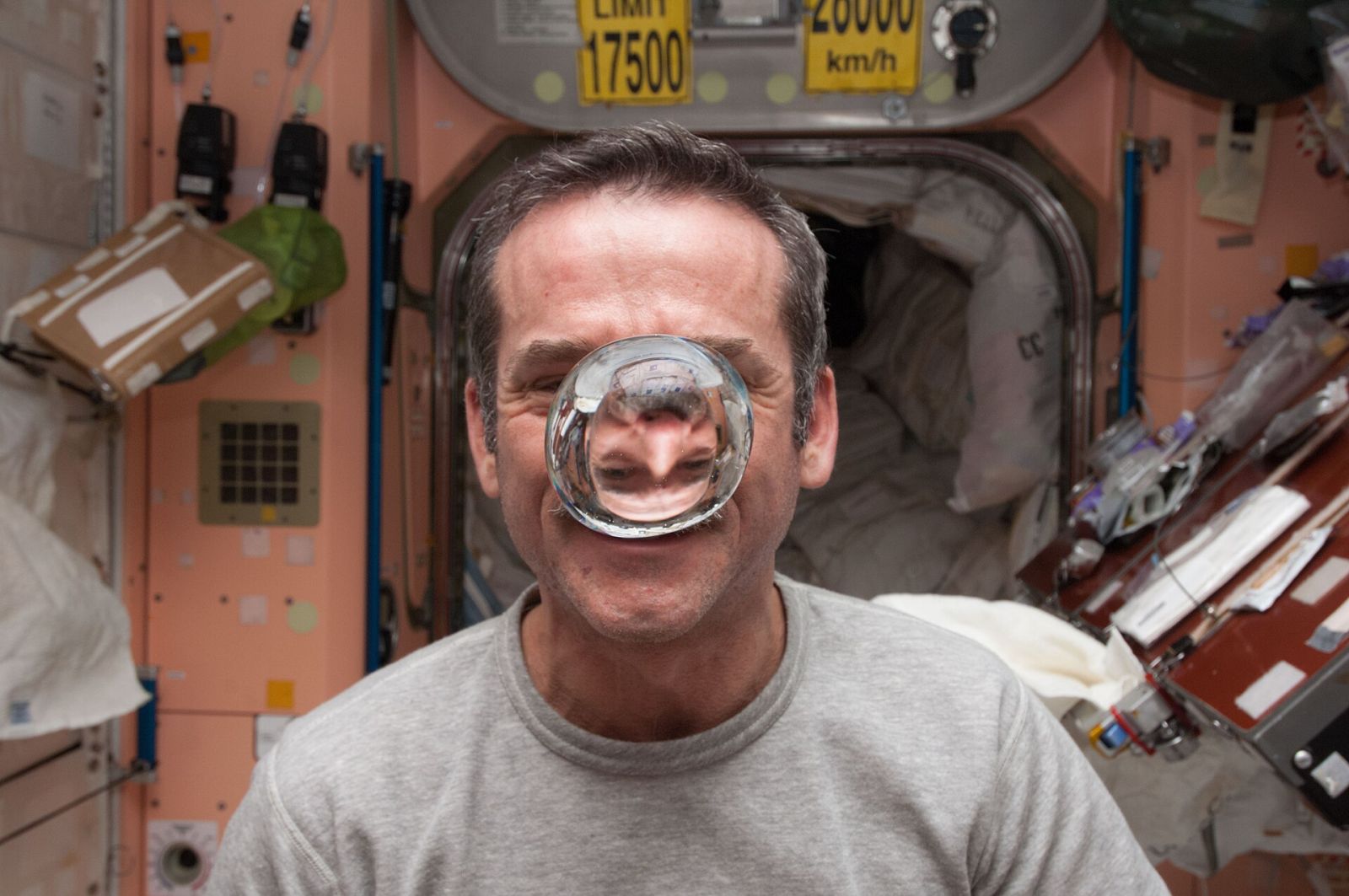 Chris Hadfield