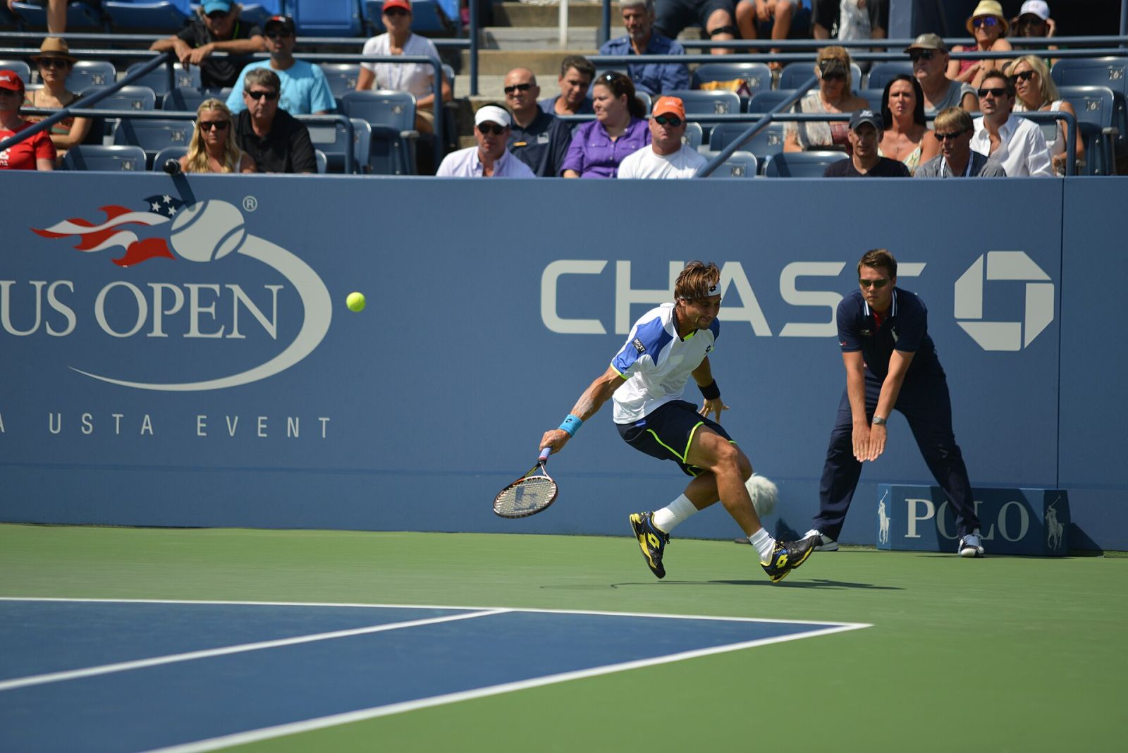 David Ferrer