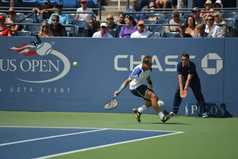 David Ferrer
