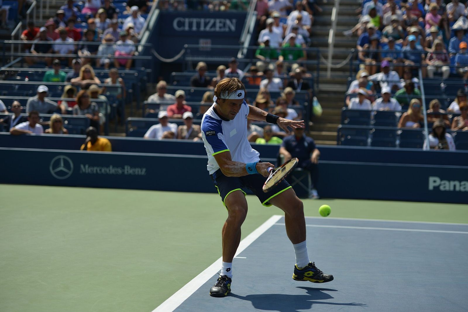David Ferrer