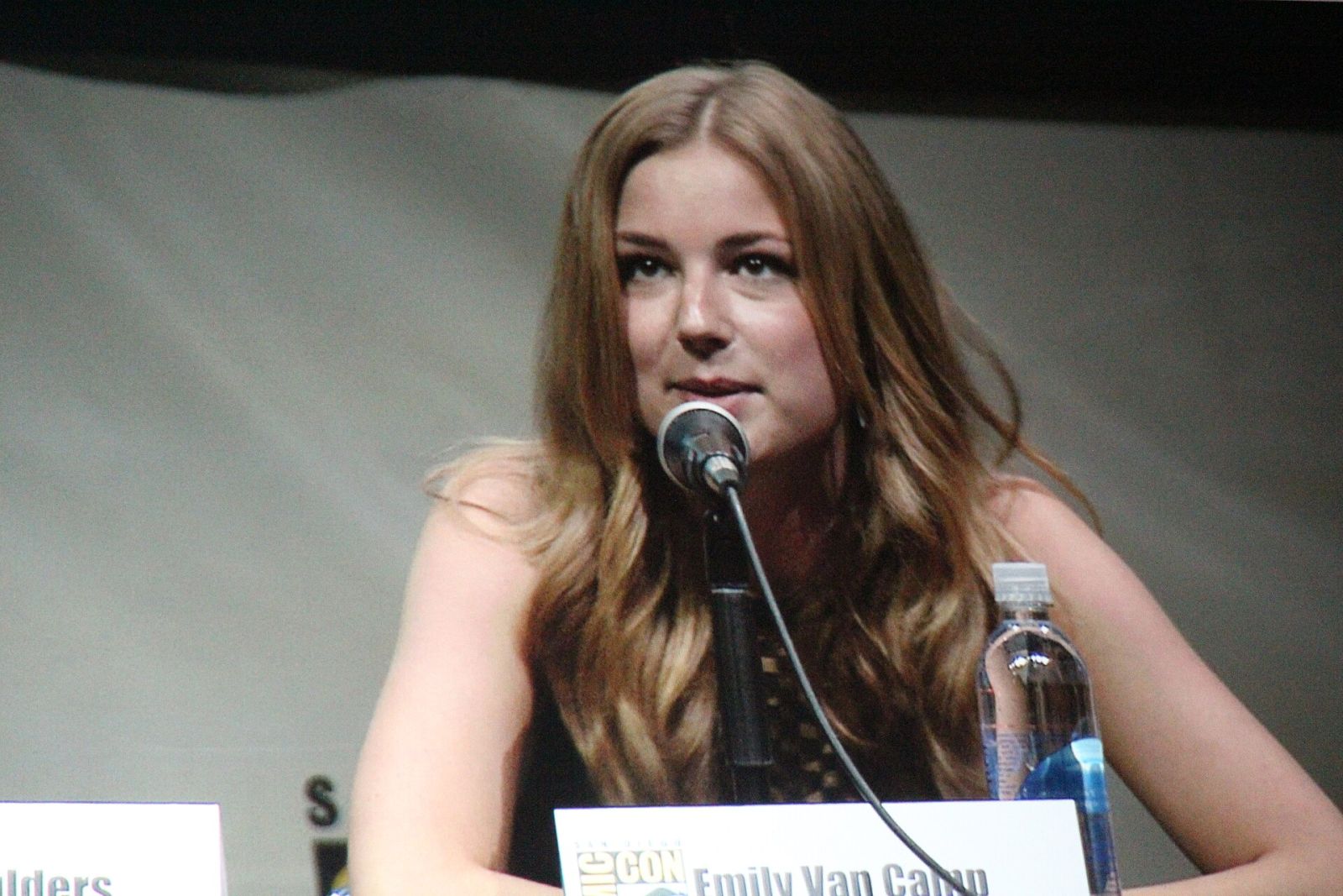 Emily VanCamp