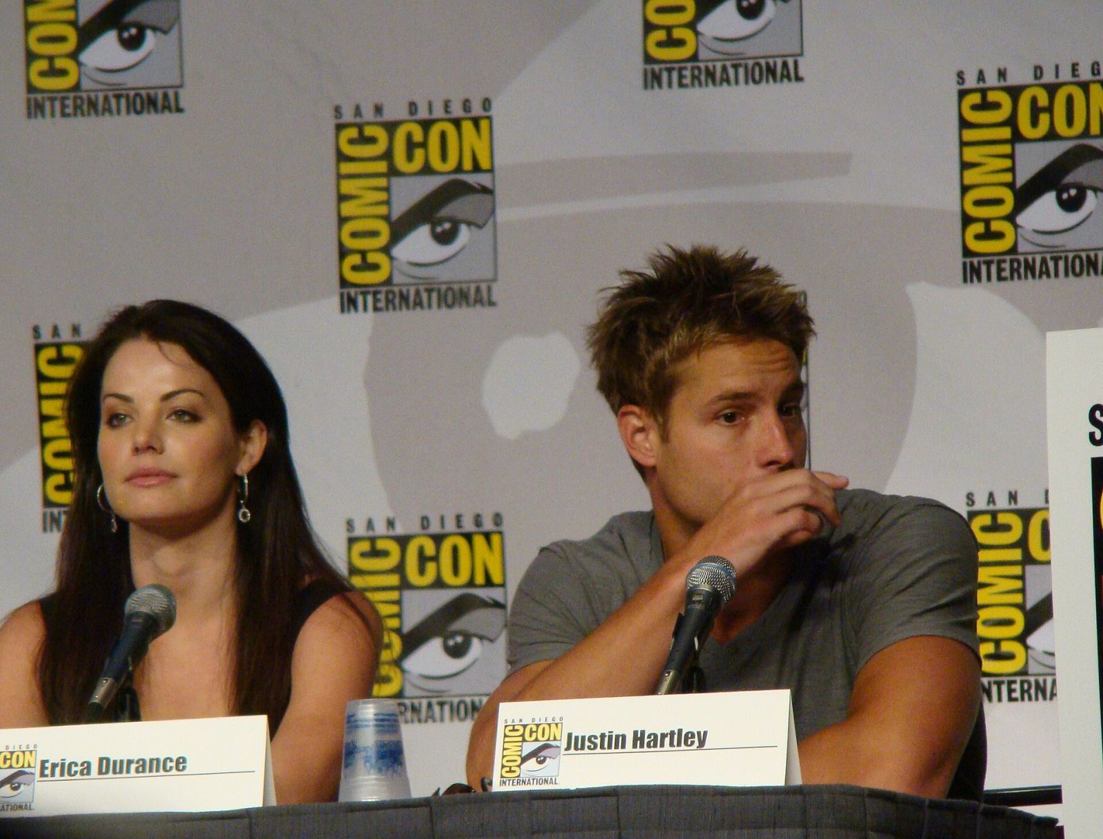 Erica Durance