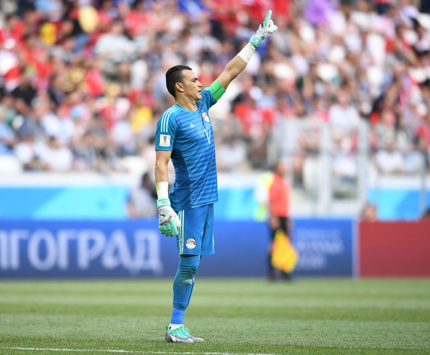 Essam El-Hadary