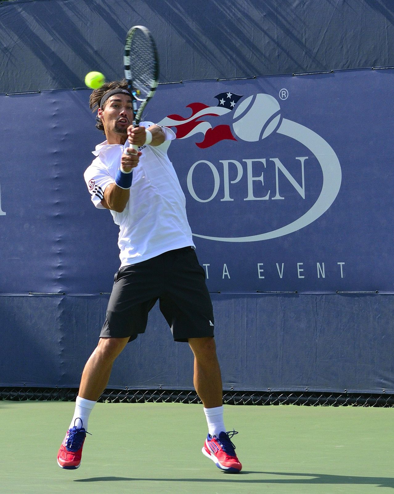 Fabio Fognini