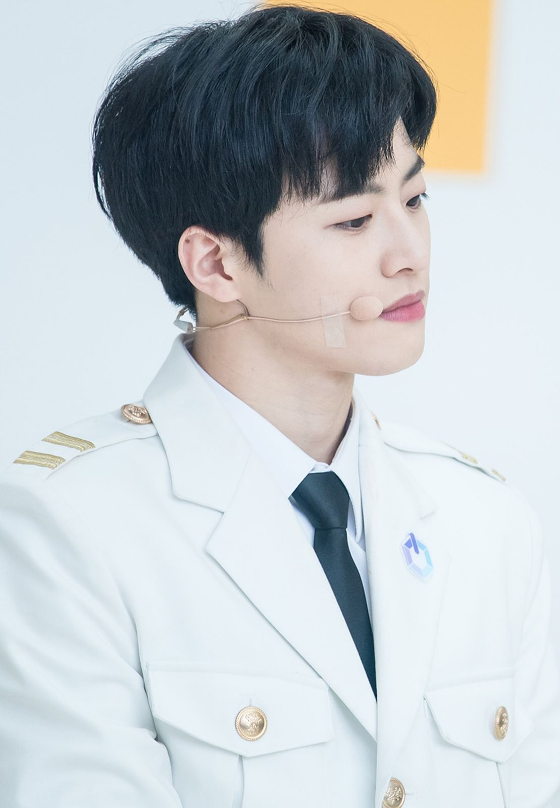 Feeldog