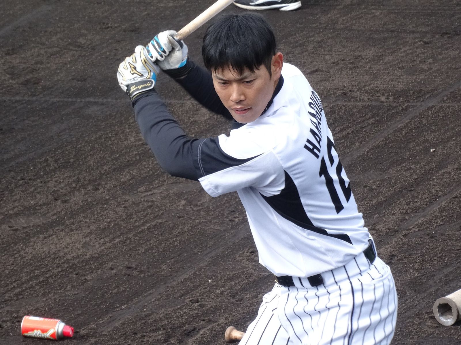 Fumihito Haraguchi