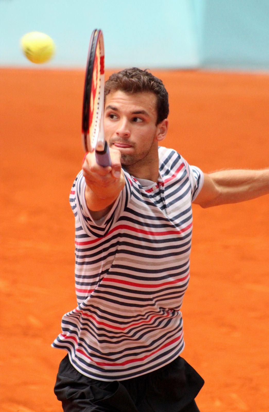 Grigor Dimitrov