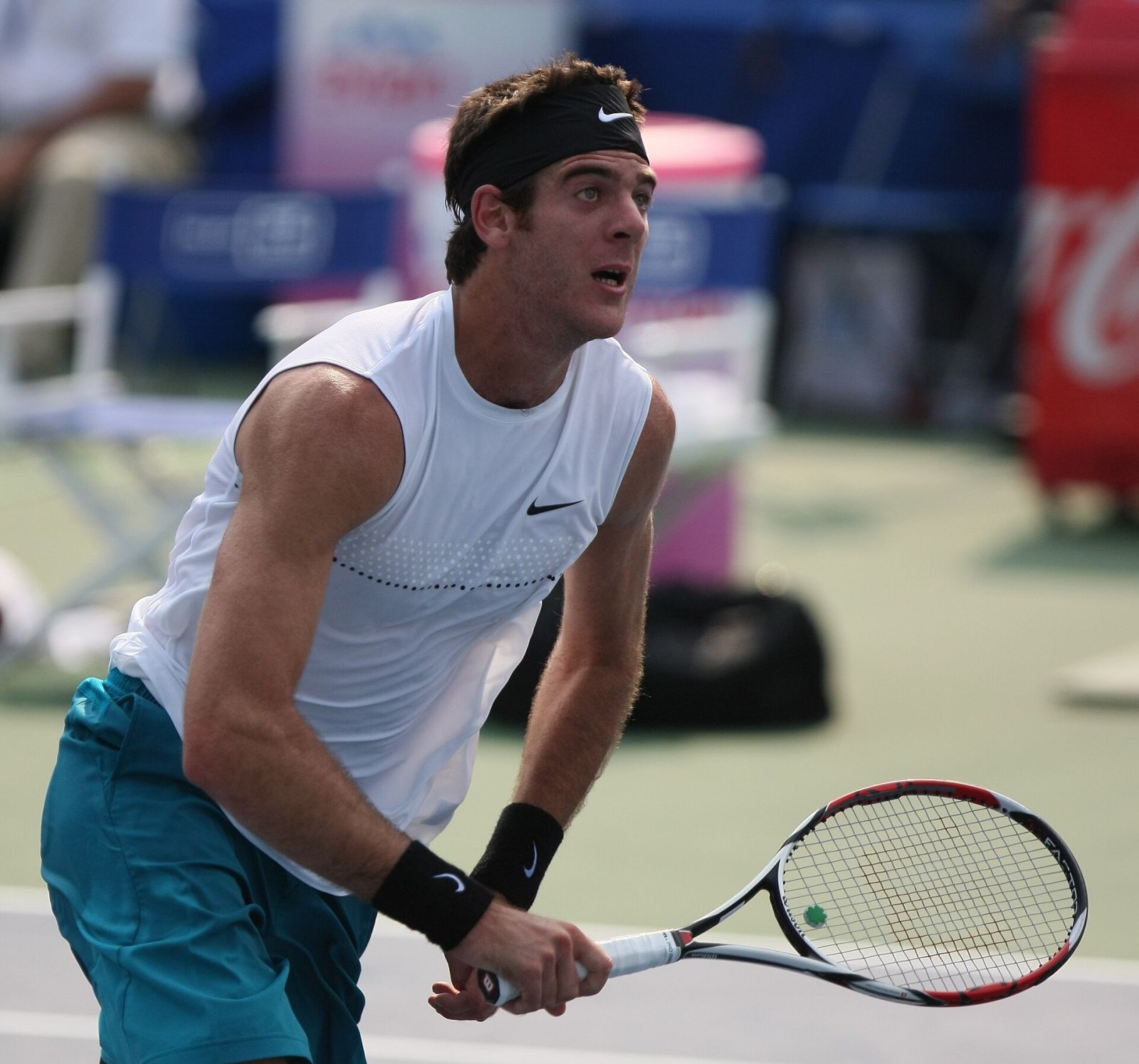 Juan Martín del Potro