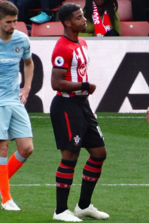 Mario Lemina