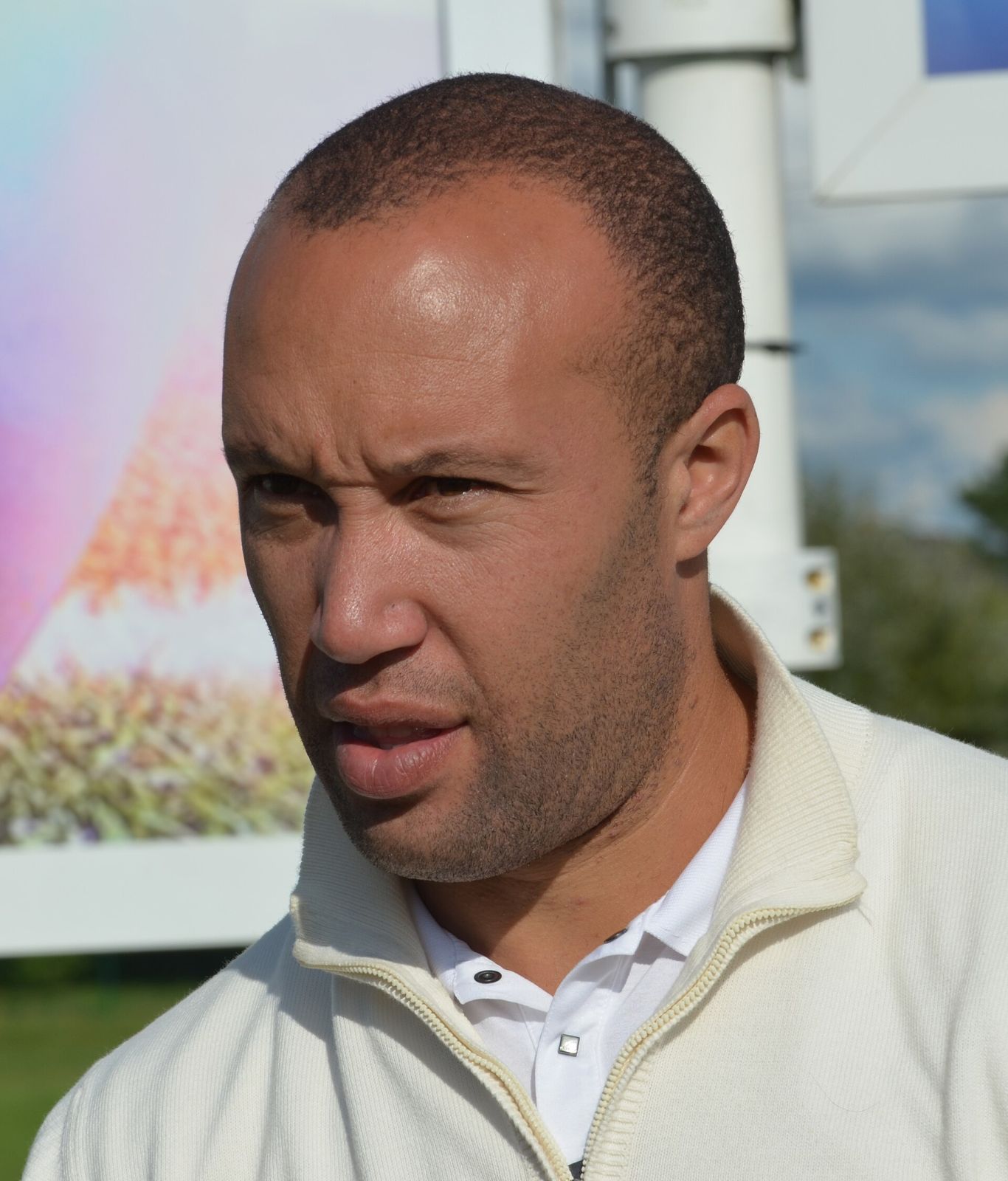 Mikaël Silvestre