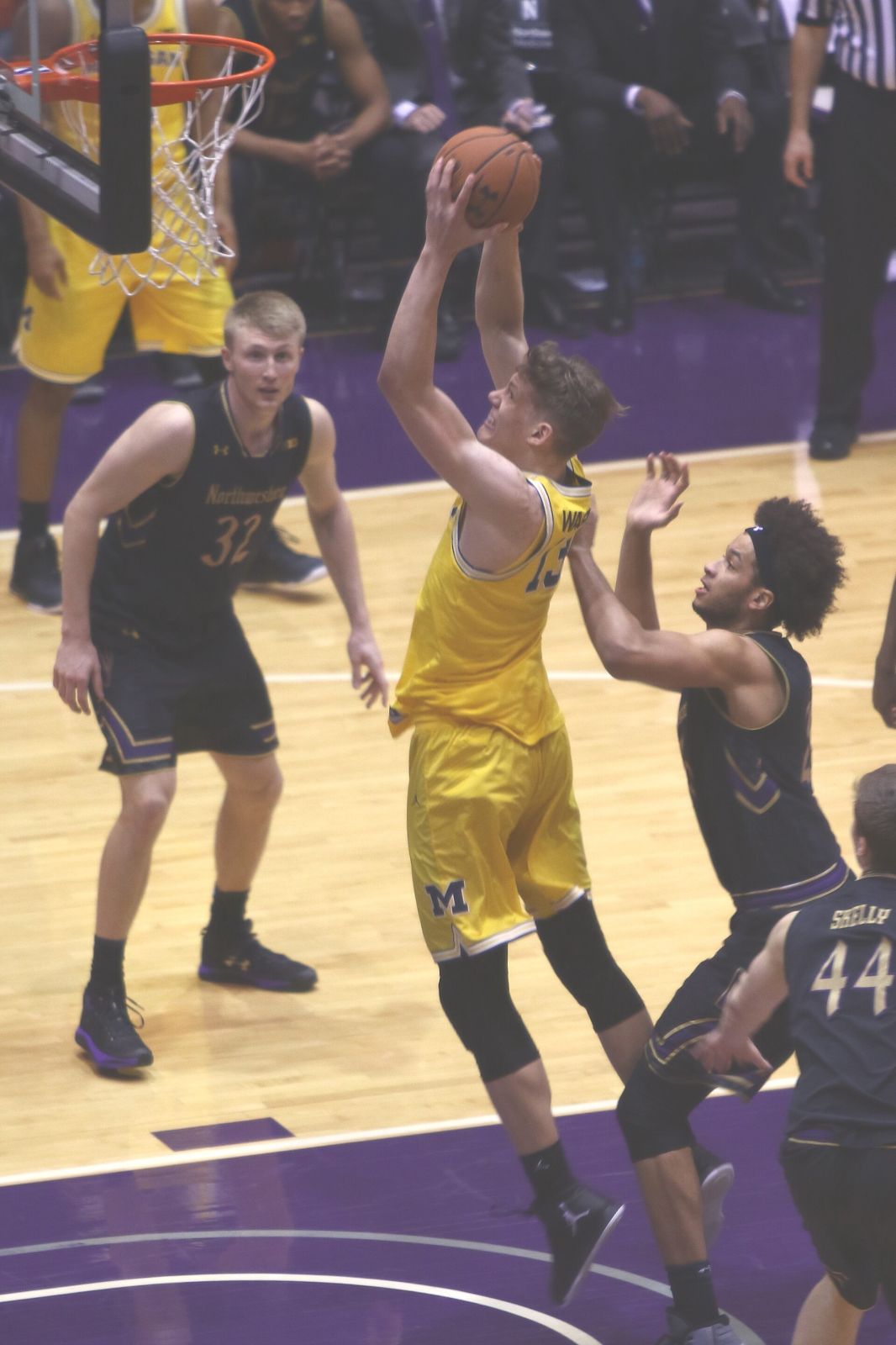 Moritz Wagner