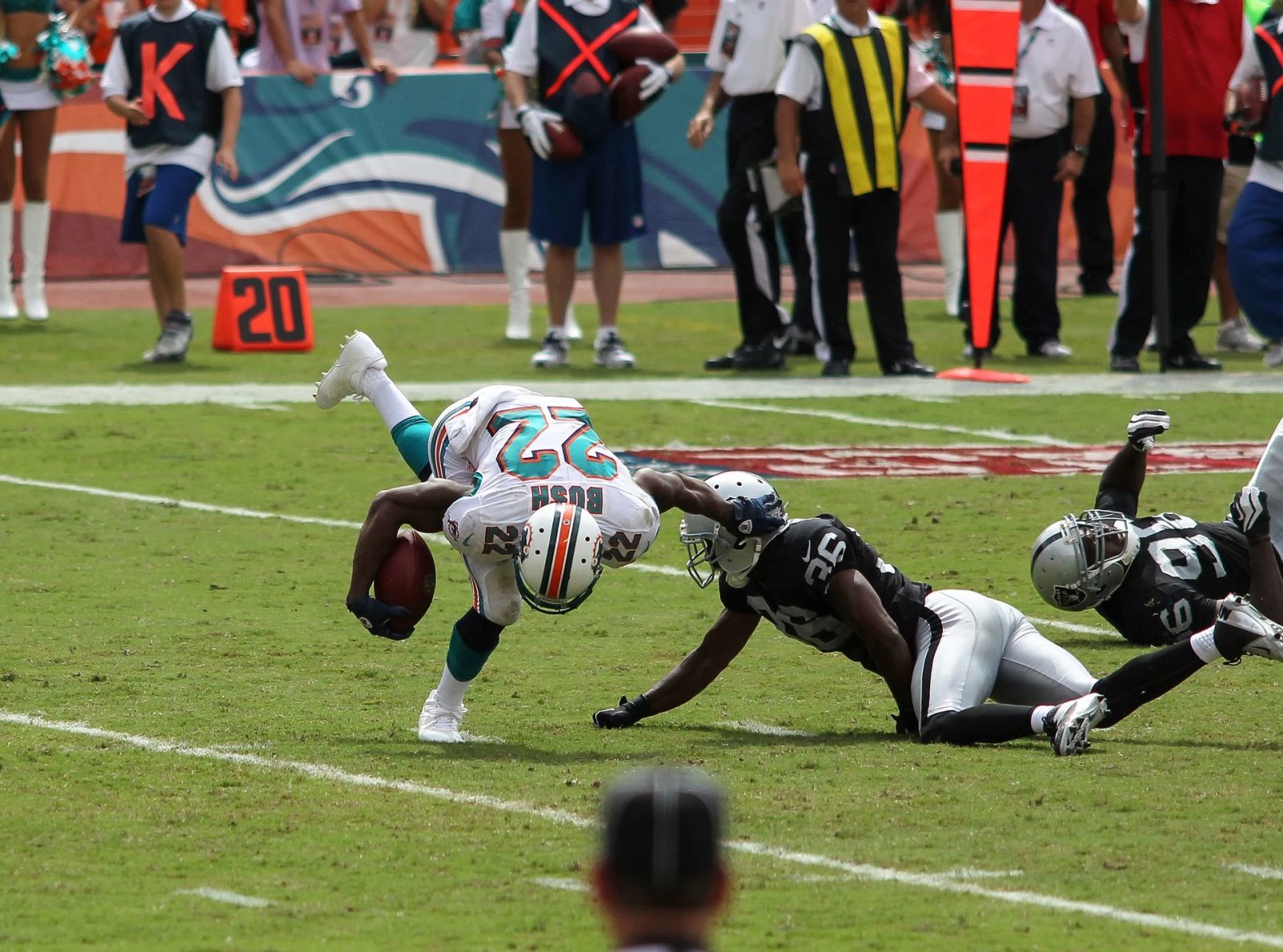 Reggie Bush