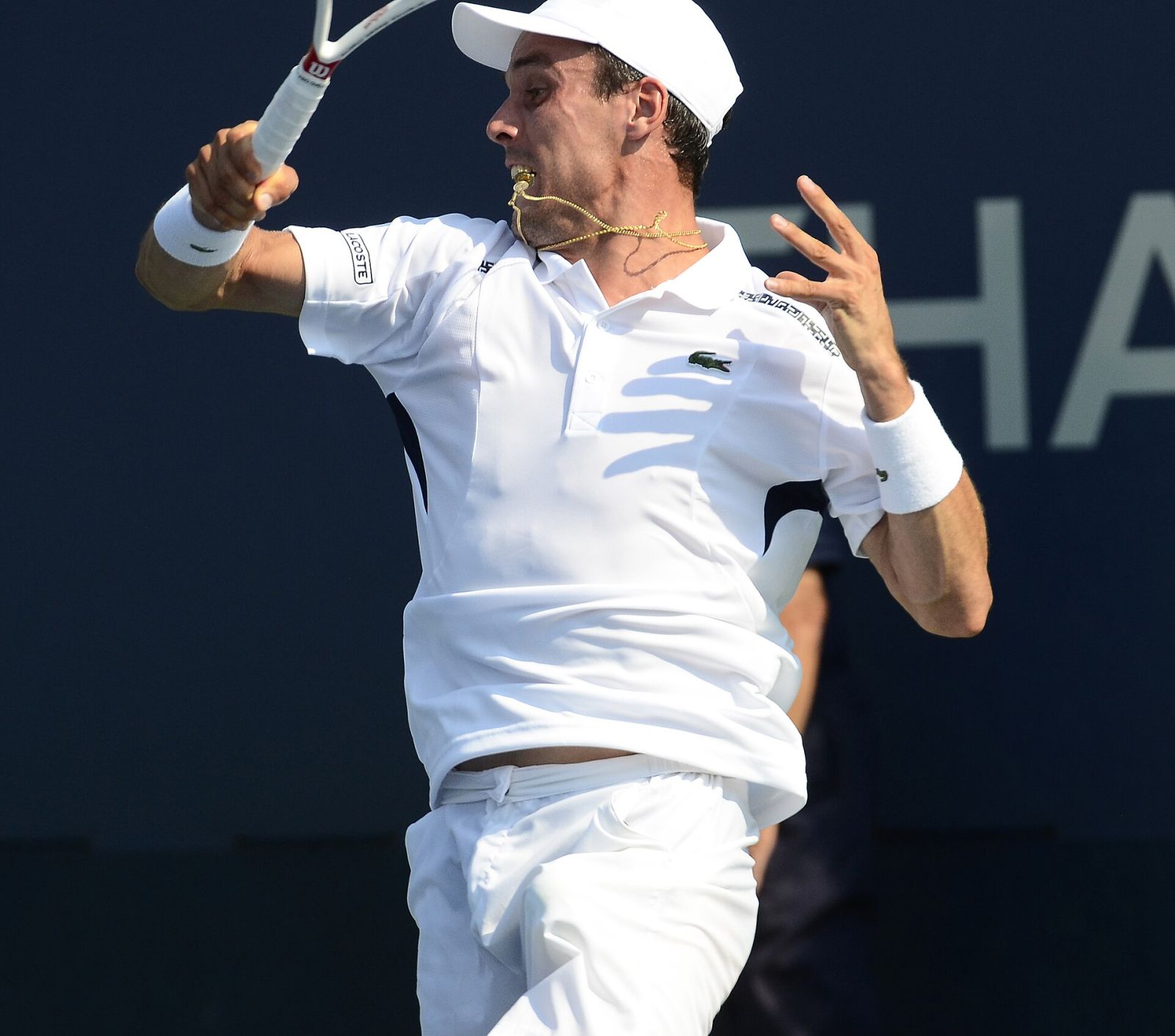Roberto Bautista Agut