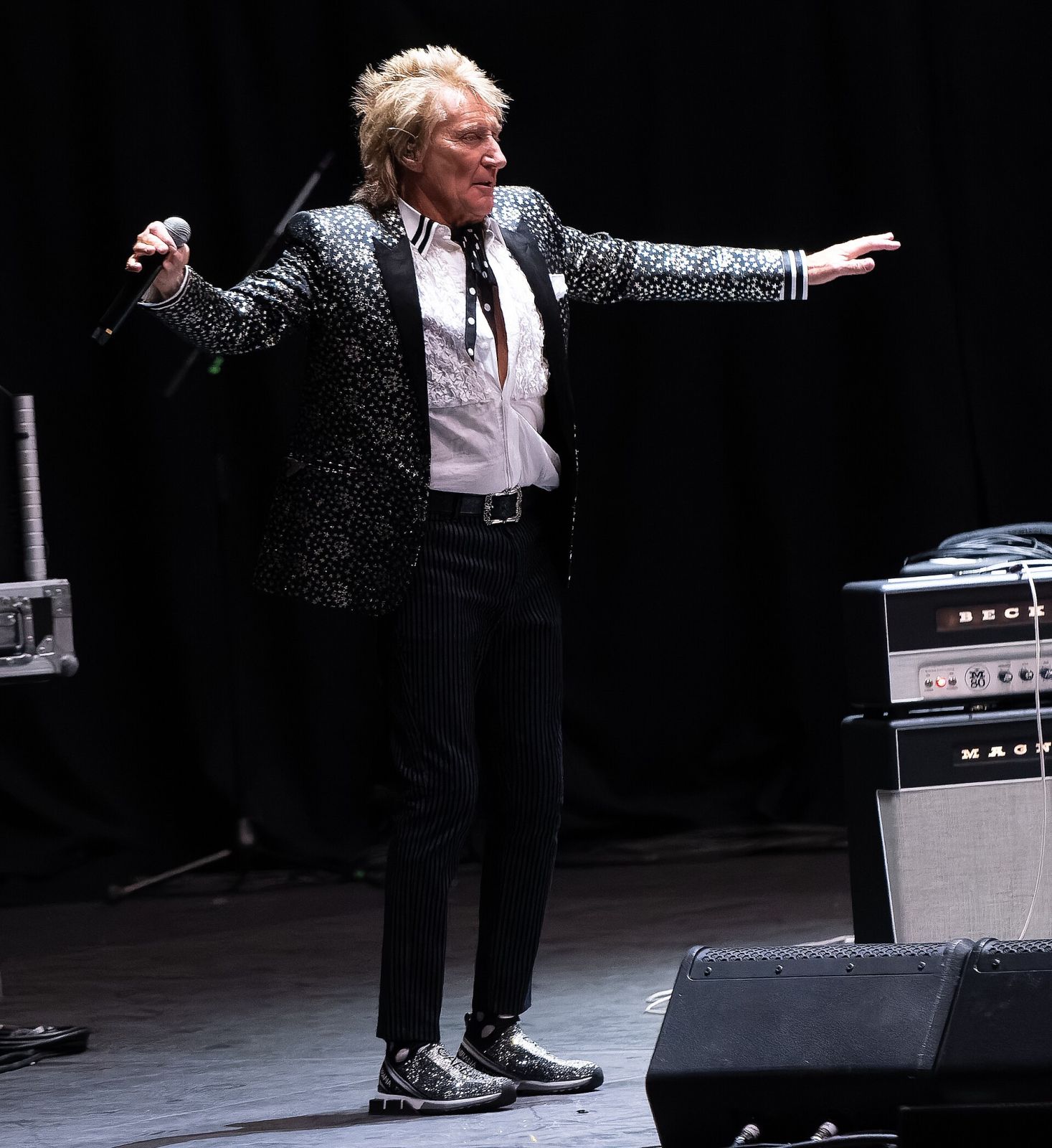 Rod Stewart