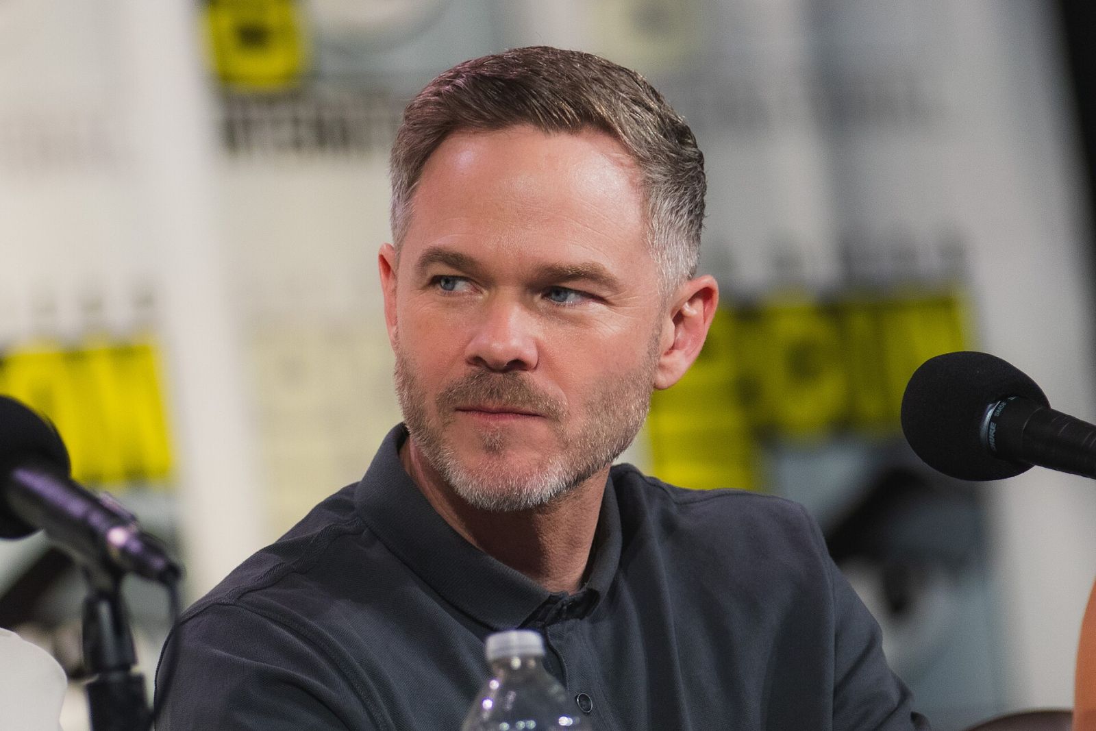 Shawn Ashmore