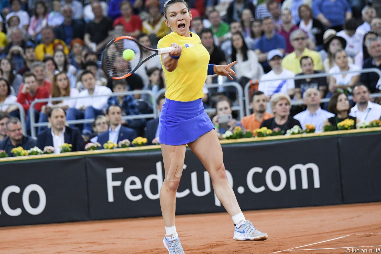 Simona Halep