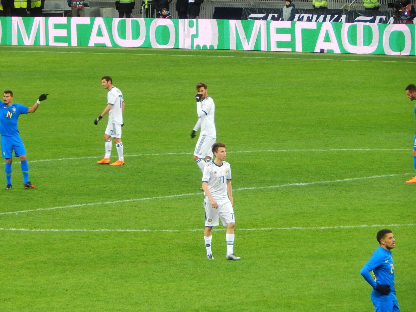 Taison