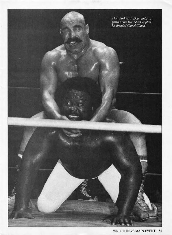 The Iron Sheik