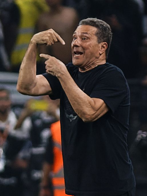 Vanderlei Luxemburgo