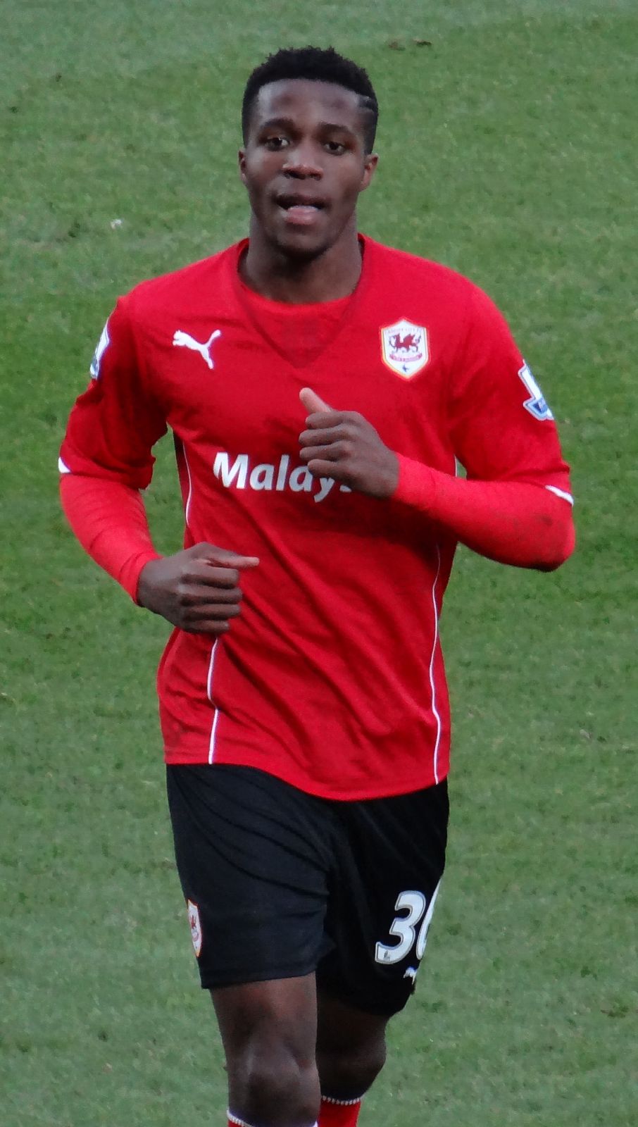 Wilfried Zaha