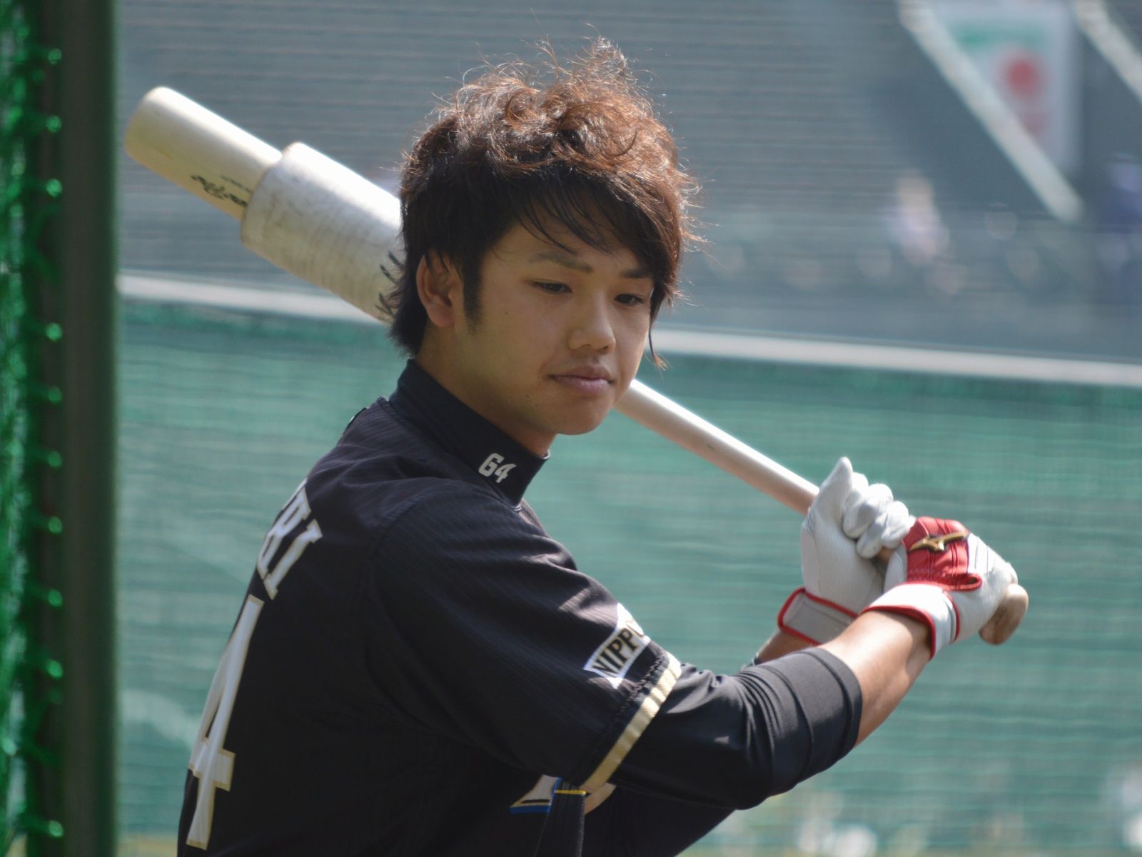 Yuya Taniguchi