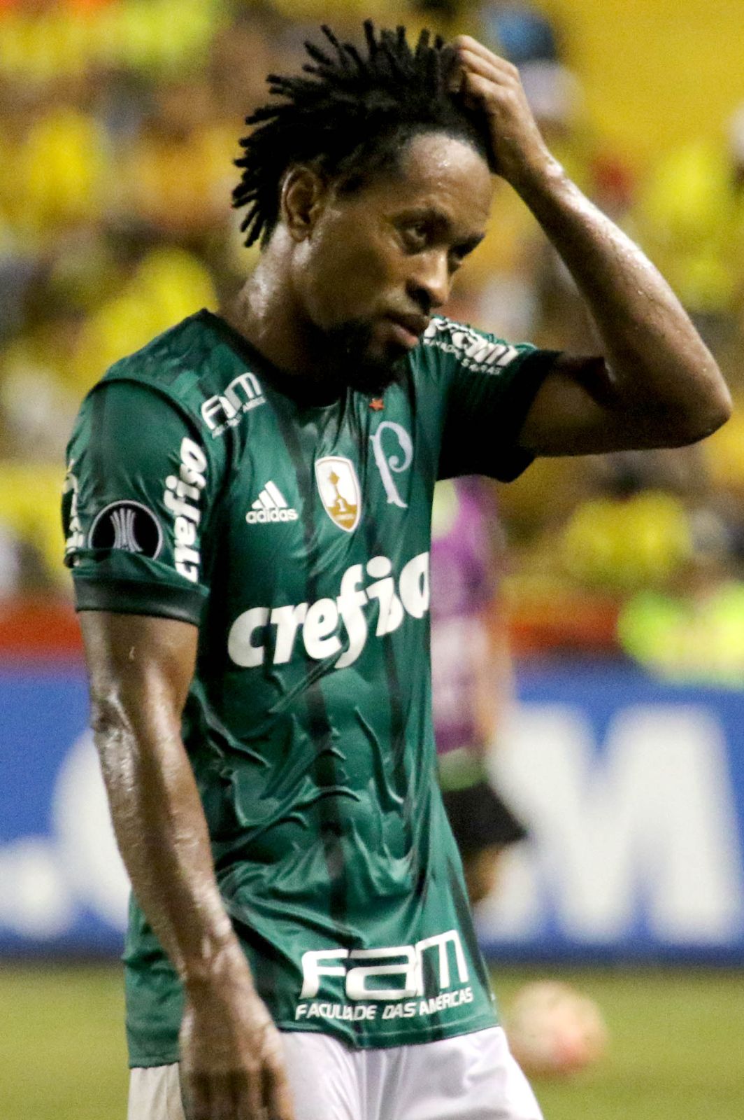 Zé Roberto