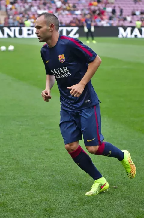 Andrés Iniesta (2014)