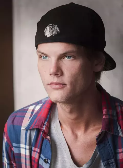 Avicii (2014)