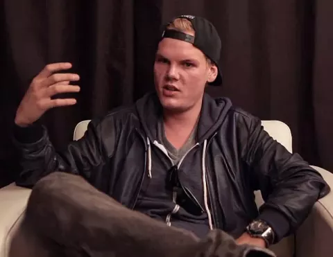 Avicii (2012)
