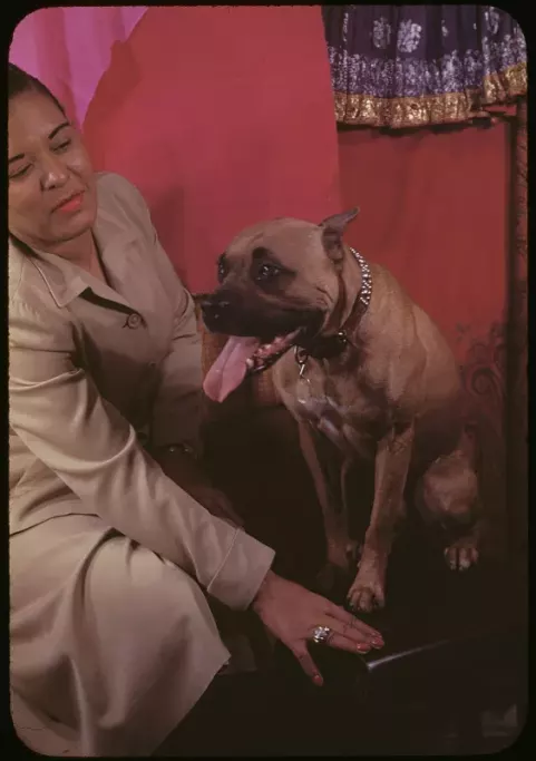 Billie Holiday (1949)