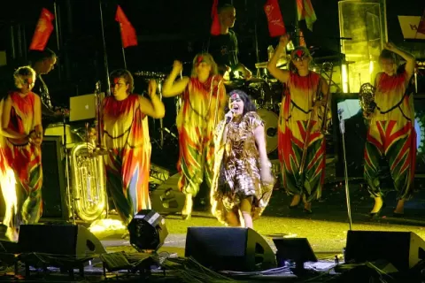 Björk (2008)