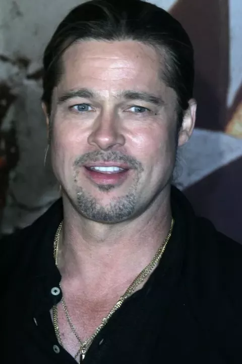 Brad Pitt (2013)