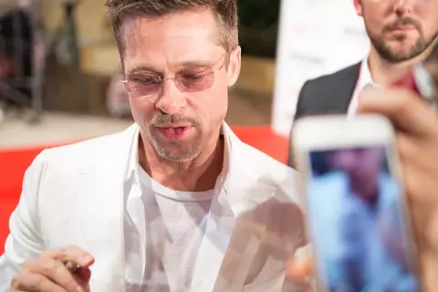 Brad Pitt (2017)