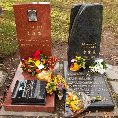 Bruce Lee (2010)