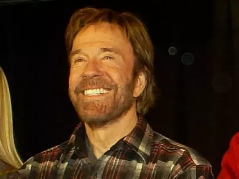 Chuck Norris (2008)