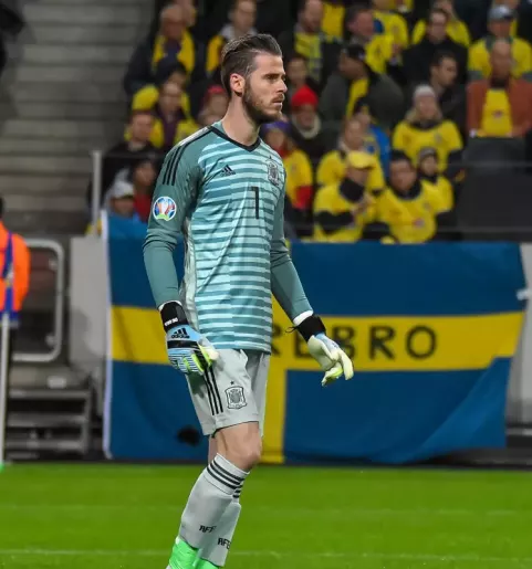David de Gea (2019)
