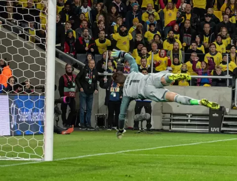 David de Gea (2019)