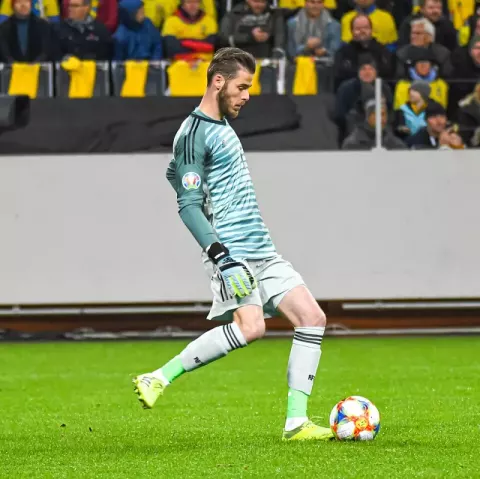 David de Gea (2019)