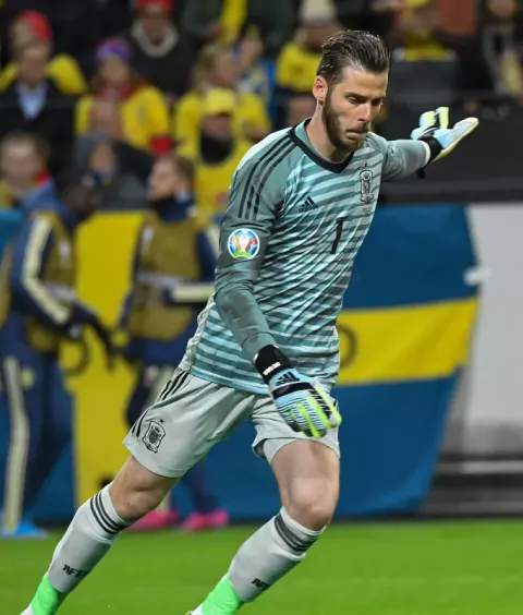 David de Gea (2019)