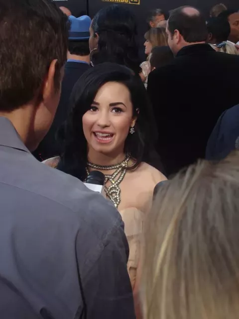 Demi Lovato at the 2009 American Music Awards Red Carpet