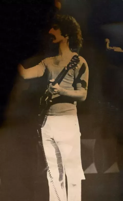 Frank Zappa at the Fillmore East (2007)