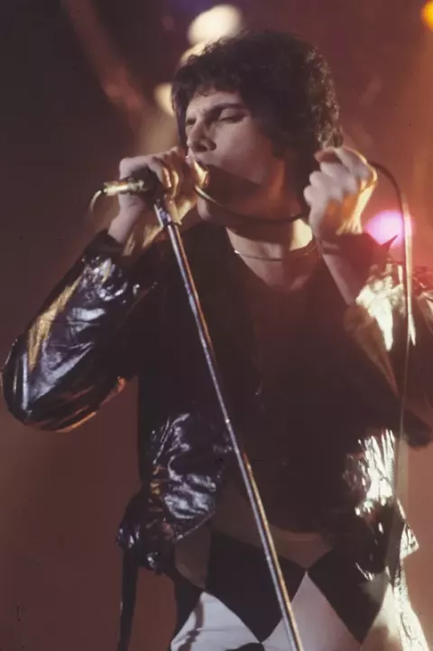 Freddie Mercury at a WPLR Show (1977)