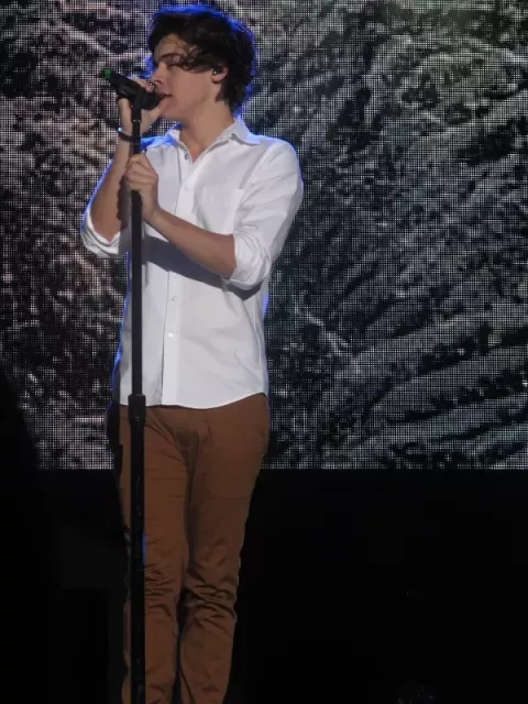 Harry Styles (2012)