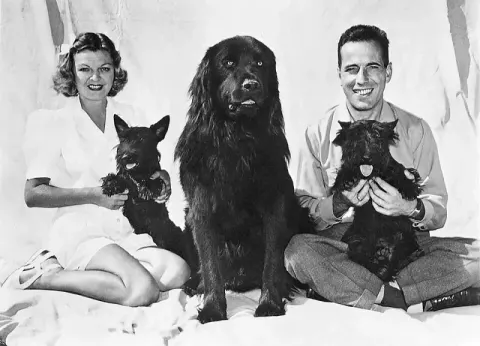 Humphrey Bogart (1944)