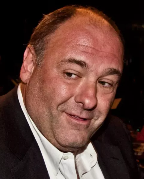 James Gandolfini at the 2011 Toronto International Film Festival